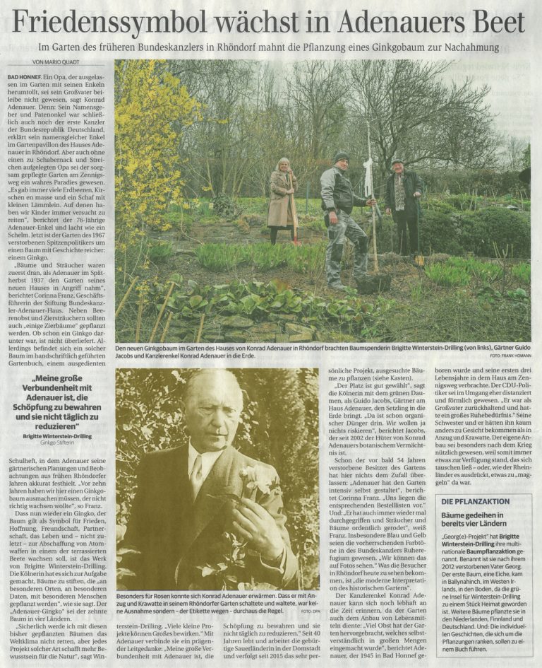 Friedenssymbol wächst in Adenauers Beet